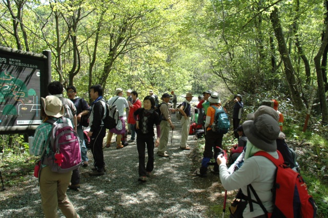 温海岳開山祭～新緑のブナの森登山会～（春の登山会）